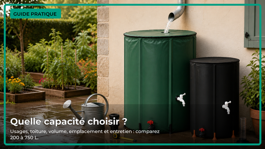 Guide pour choisir la capacité d’un récupérateur d’eau de pluie de 200 à 750 L