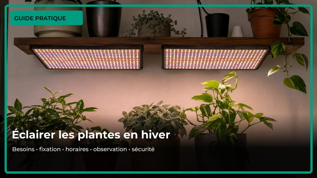 Comment utiliser une lampe horticole en hiver ?