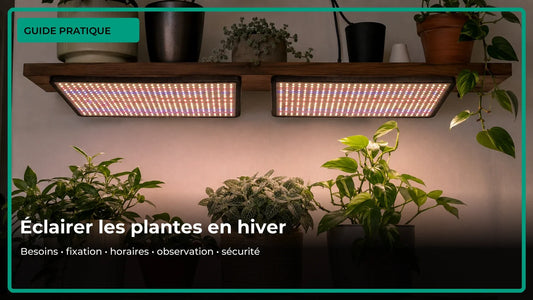 Comment utiliser une lampe horticole en hiver ?