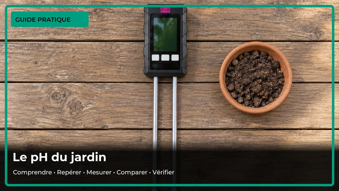 Mesurer le pH de la terre du jardin : 5 repères fiables