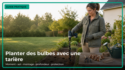 Guide pratique pour planter des bulbes avec une tarière en cinq étapes