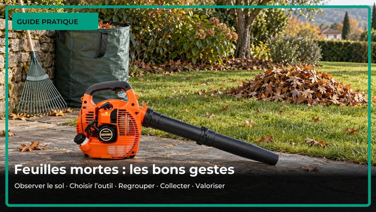Pelouse d’automne dégagée, petit tas de feuilles, balai à gazon et souffleur thermique orange à l’arrêt.