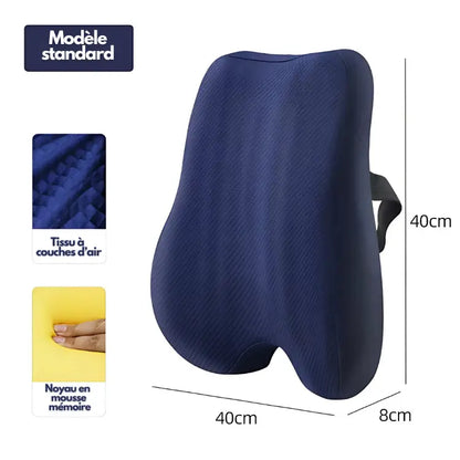 Ferns | Coussin Dossier et Siège Orthopédique Coussin lombaire bleu assise avec bureau coccyx confort coussin design dique dossier douleurs ferns forme haute housse lavable lombaire lombaires maison moire mousse orthop posture pour prolong respirant soutien tissu toute utilisation voiture votre