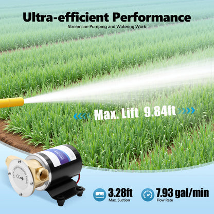 Pompe À Eau Auto Amorçante Pour Irrigation Agricole 12V 120W IP68