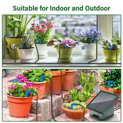 Arrosage Solaire Goutte à Goutte Kit Programmable 300 Programmes 10M - vert / France