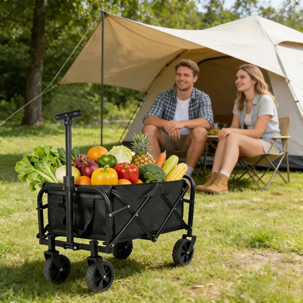 Chariot camping pliable 50 L – roues 5 pouces - Noir / France - chariot camping pliable 50 litres
