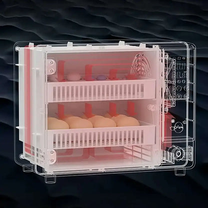 Couveuse automatique 24 œufs – écran tactile - Espagne - couveuse automatique 24 œufs