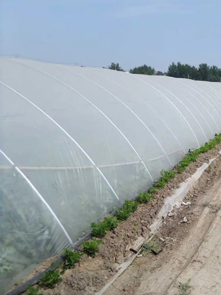 Film De Serre Agricole Transparent UV Polyéthylène Pour Légumes