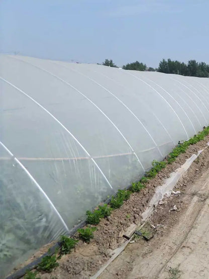 Film De Serre Agricole Transparent UV Polyéthylène Pour Légumes