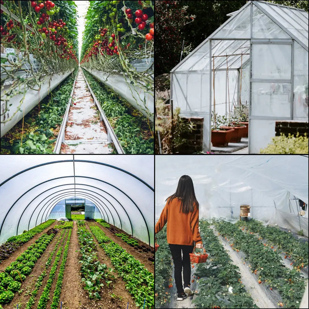 Film De Serre Agricole Transparent UV Polyéthylène Pour Légumes