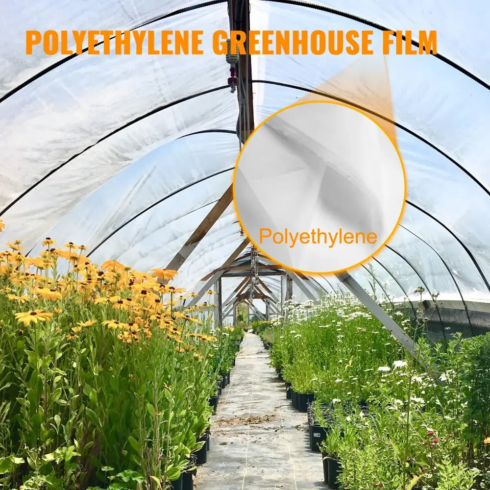 Film De Serre Agricole Transparent UV Polyéthylène Pour Légumes