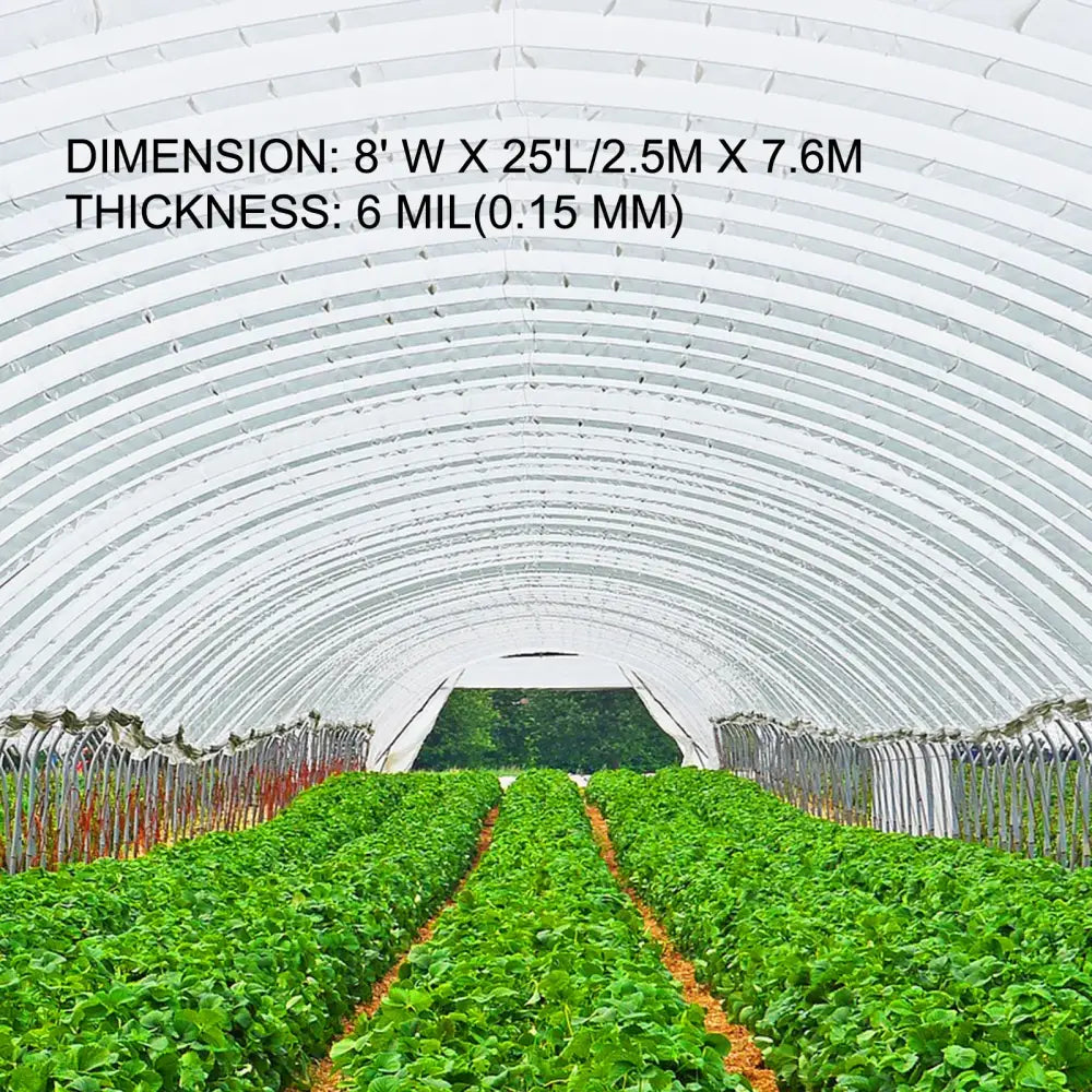 Film De Serre Agricole Transparent UV Polyéthylène Pour Légumes