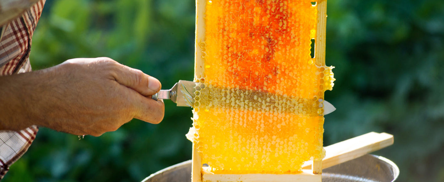 Extracteur Manuel D Apiculture En Acier Inoxydable Efficace Pour Cadres