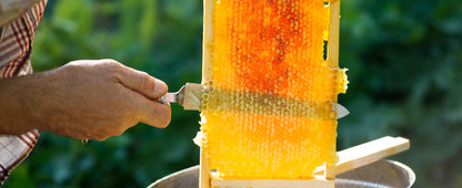 Extracteur Manuel D Apiculture En Acier Inoxydable Efficace Pour Cadres