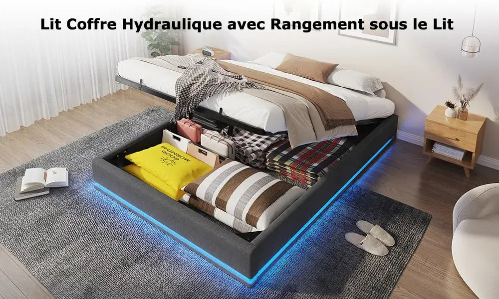 Lit double 160 × 200 cm avec rangement et LED RGB - Gris / France - Lit double avec rangement