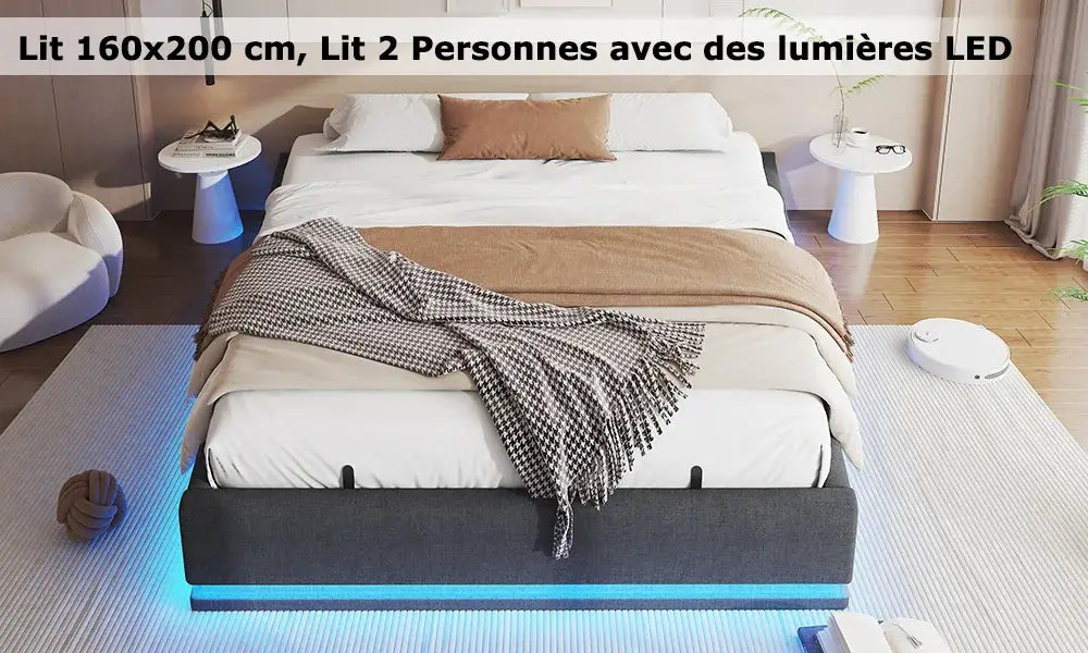 Lit double 160 × 200 cm avec rangement et LED RGB - Gris / France - Lit double avec rangement