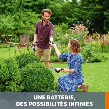 Pack 2 Batteries Powershare Pro 20V 4 Ah WA3644.2