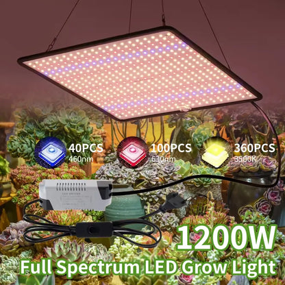 Lot de 2 lampes horticoles LED à spectre complet – prise EU - Lot de 2 / LED / Prise EU – 1 200 W – France - Éclairage