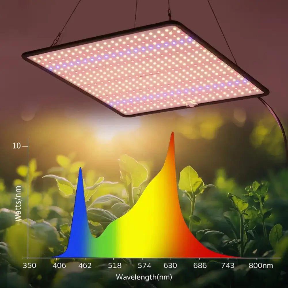 Lot de 2 lampes horticoles LED à spectre complet – prise EU - Lot de 2 / LED / Prise EU – 1 200 W – France - Éclairage