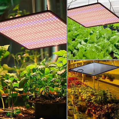 Lot de 2 lampes horticoles LED à spectre complet – prise EU - Lot de 2 / LED / Prise EU – 1 200 W – France - Éclairage