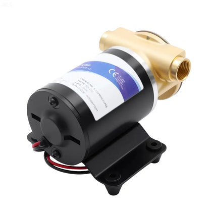 Pompe à eau auto amorçante pour irrigation agricole 12 V 120 W IP68