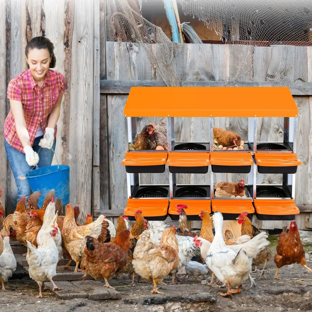 Pondoir collectif galvanisé pour poules – 6 à 10 cases – photo produit 3