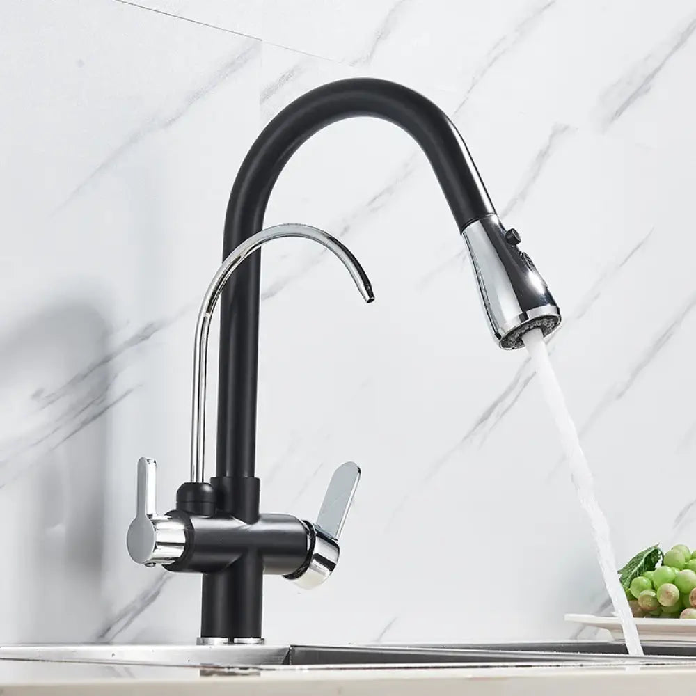 Robinet Purificateur D Eau Cuisine Noir 360 Extractible Pulvérisateur