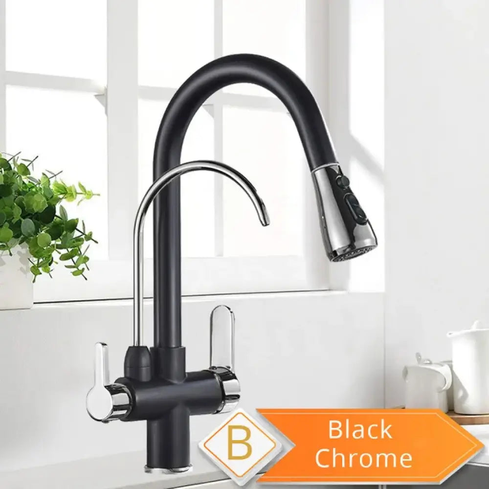 Robinet Purificateur D Eau Cuisine Noir 360 Extractible Pulvérisateur Black and chrome B Pologne