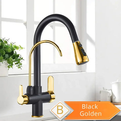 Robinet Purificateur D Eau Cuisine Noir 360 Extractible Pulvérisateur Black and Golden B Pologne