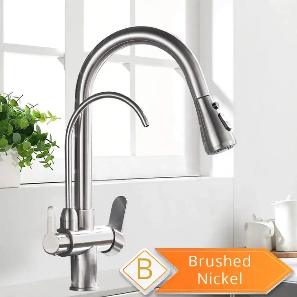 Robinet Purificateur D Eau Cuisine Noir 360 Extractible Pulvérisateur Brushed Nickel B Pologne