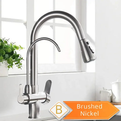 Robinet Purificateur D Eau Cuisine Noir 360 Extractible Pulvérisateur Brushed Nickel B Pologne