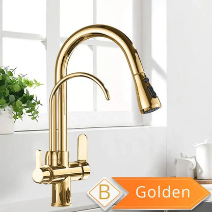 Robinet Purificateur D Eau Cuisine Noir 360 Extractible Pulvérisateur Golden B Pologne