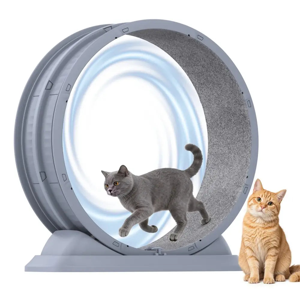 Roue d’exercice pour chat 80 cm avec tapis amovible – photo produit 2