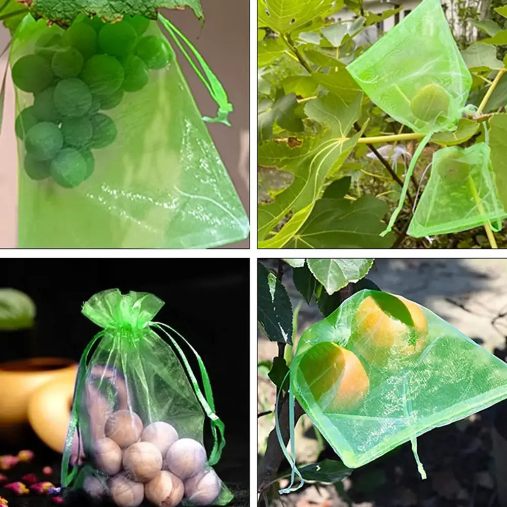 Sacs de protection pour fruits – lot de 50 - Protection des cultures