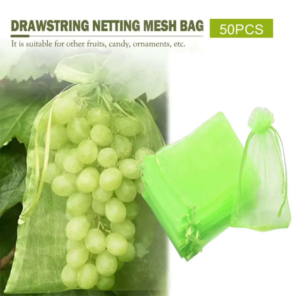 Sacs de protection pour fruits – lot de 50 - Protection des cultures