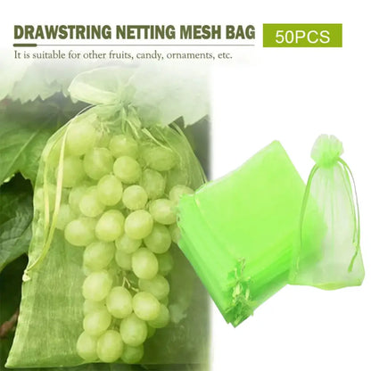 Sacs de protection pour fruits – lot de 50 - Protection des cultures