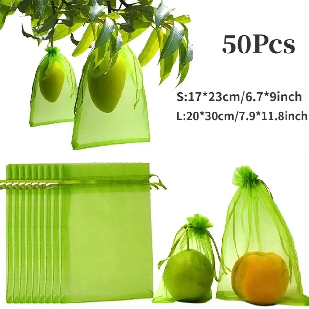 Sacs de protection pour fruits – lot de 50 - Protection des cultures