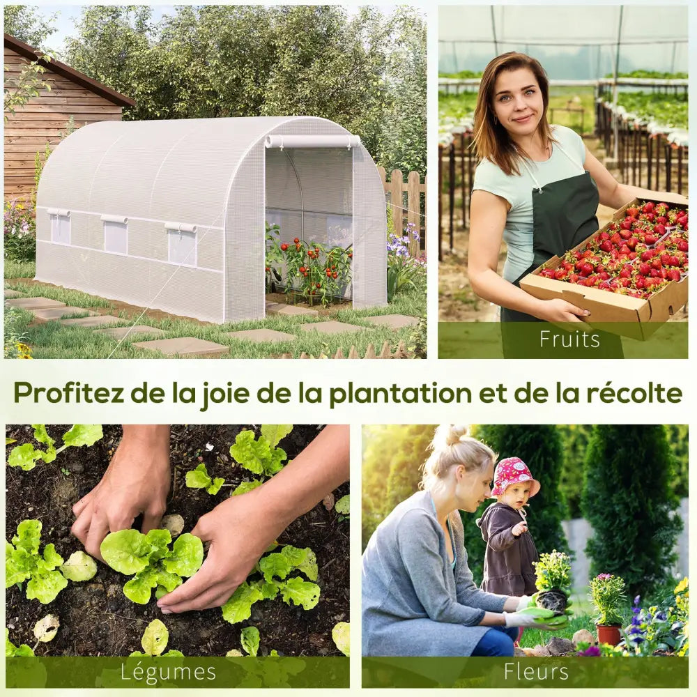 Serre tunnel 8 m² avec porte zippée – photo complémentaire 9